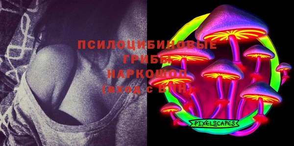 метадон Арсеньев