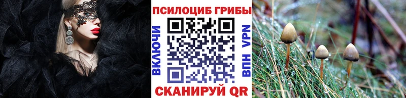 купить   Кулебаки  Галлюциногенные грибы прущие грибы 